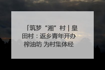 筑梦“湘”村｜皇田村：返乡青年开办榨油坊 为村集体经济“加油”