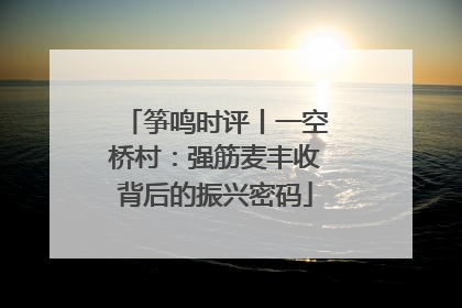 筝鸣时评丨一空桥村：强筋麦丰收背后的振兴密码