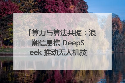 算力与算法共振：浪潮信息携 DeepSeek 推动无人机技术在舟山落地