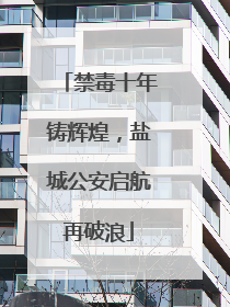 禁毒十年铸辉煌，盐城公安启航再破浪