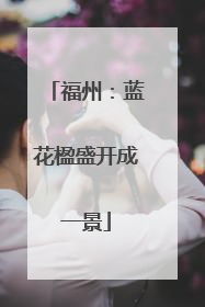 福州：蓝花楹盛开成一景
