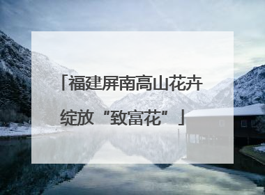 福建屏南高山花卉绽放“致富花”
