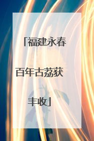 福建永春百年古荔获丰收