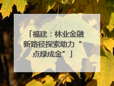 福建：林业金融新路径探索助力“点绿成金”