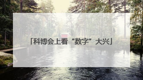 科博会上看“数字”大兴