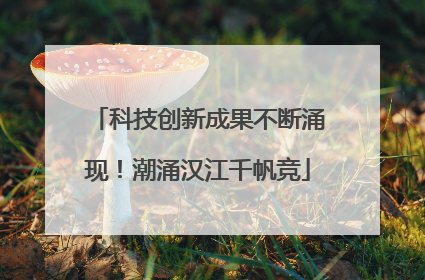 科技创新成果不断涌现！潮涌汉江千帆竞