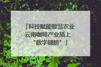 科技赋能智慧农业 云南咖啡产业插上“数字翅膀”