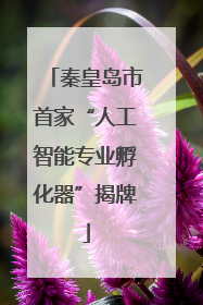 秦皇岛市首家“人工智能专业孵化器”揭牌