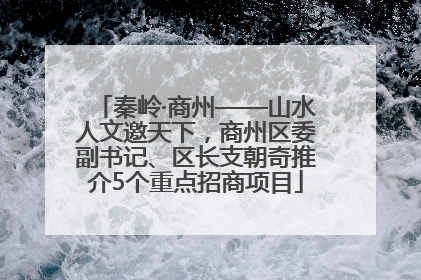 秦岭·商州——山水人文邀天下，商州区委副书记、区长支朝奇推介5个重点招商项目