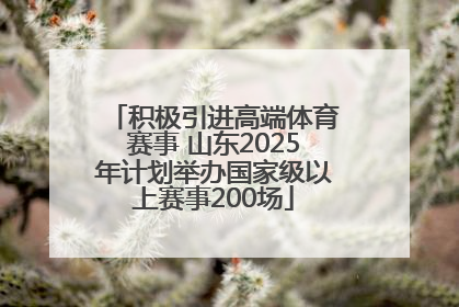 积极引进高端体育赛事 山东2025年计划举办国家级以上赛事200场