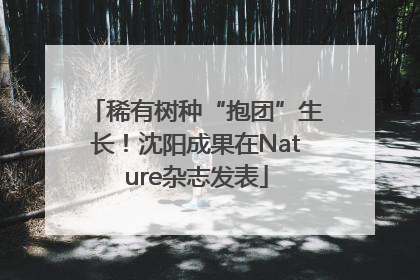 稀有树种“抱团”生长！沈阳成果在Nature杂志发表