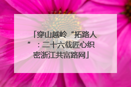 穿山越岭“拓路人”：二十六载匠心织密浙江共富路网