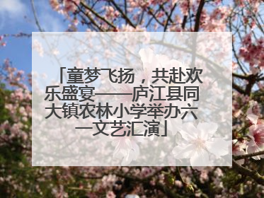 童梦飞扬，共赴欢乐盛宴——庐江县同大镇农林小学举办六一文艺汇演