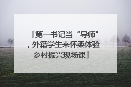 第一书记当“导师”，外籍学生来怀柔体验乡村振兴现场课