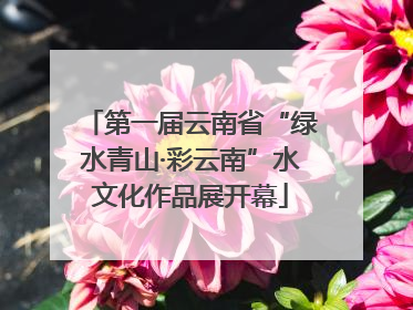 第一届云南省“绿水青山·彩云南”水文化作品展开幕