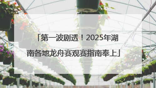 第一波剧透！2025年湖南各地龙舟赛观赛指南奉上