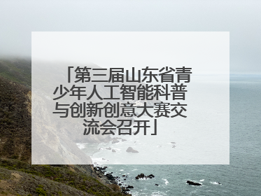 第三届山东省青少年人工智能科普与创新创意大赛交流会召开