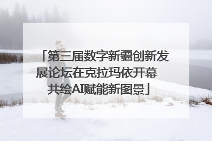 第三届数字新疆创新发展论坛在克拉玛依开幕 共绘AI赋能新图景
