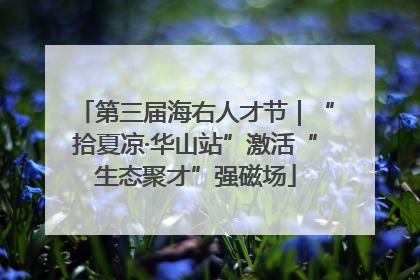 第三届海右人才节｜“拾夏凉·华山站”激活“生态聚才”强磁场