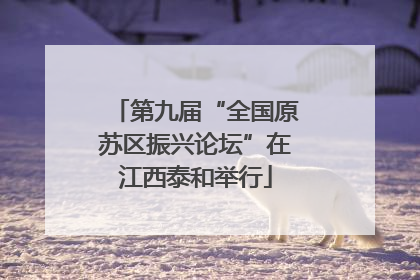 第九届“全国原苏区振兴论坛”在江西泰和举行