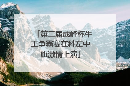 第二届成峰杯牛王争霸赛在科左中旗激情上演