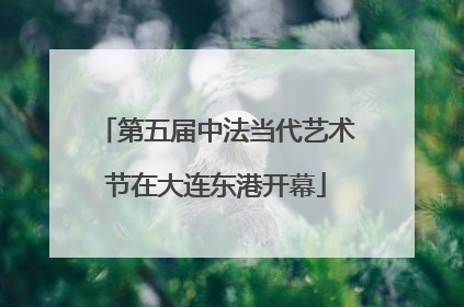 第五届中法当代艺术节在大连东港开幕