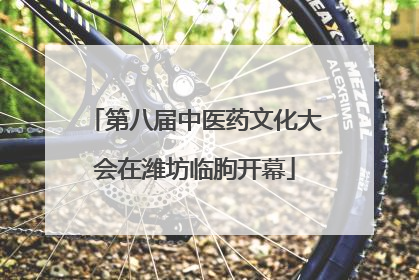 第八届中医药文化大会在潍坊临朐开幕