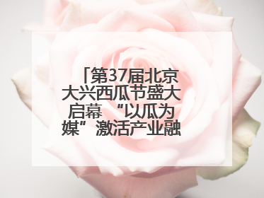 第37届北京大兴西瓜节盛大启幕 “以瓜为媒”激活产业融合发展新动能
