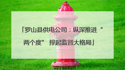 罗山县供电公司：纵深推进“两个度” 撑起监督大格局