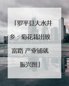罗平县大水井乡：菊花栽出致富路 产业铺就振兴图