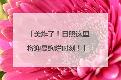 美炸了！日照这里将迎最绚烂时刻！