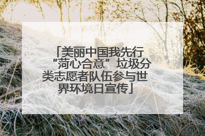 美丽中国我先行 “菏心合意”垃圾分类志愿者队伍参与世界环境日宣传