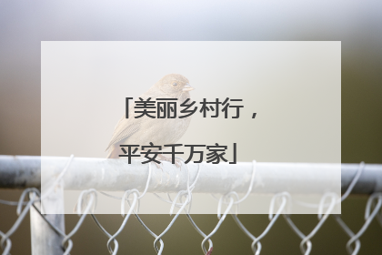 美丽乡村行，平安千万家