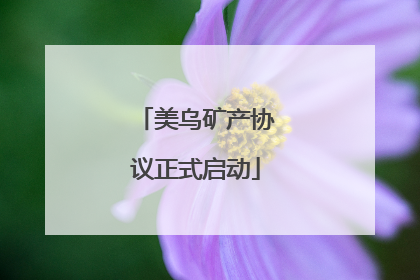 美乌矿产协议正式启动