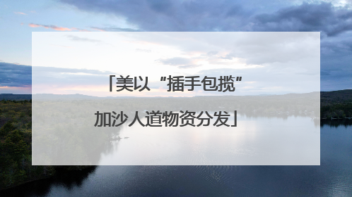 美以“插手包揽”加沙人道物资分发