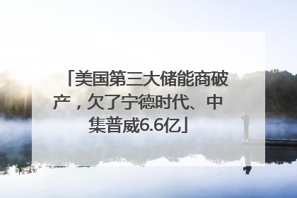美国第三大储能商破产，欠了宁德时代、中集普威6.6亿