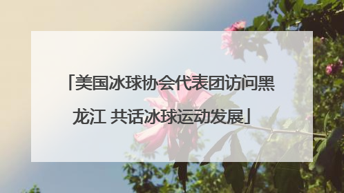 美国冰球协会代表团访问黑龙江 共话冰球运动发展