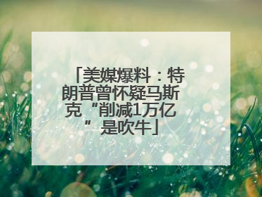 美媒爆料：特朗普曾怀疑马斯克“削减1万亿”是吹牛