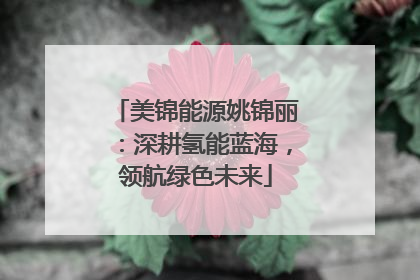 美锦能源姚锦丽：深耕氢能蓝海，领航绿色未来