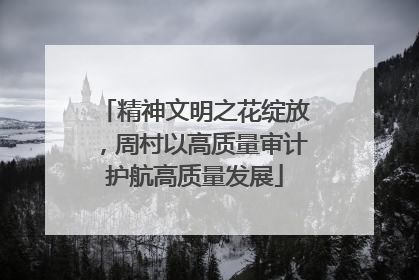 精神文明之花绽放，周村以高质量审计护航高质量发展