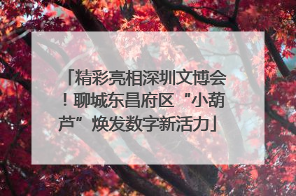 精彩亮相深圳文博会！聊城东昌府区“小葫芦”焕发数字新活力