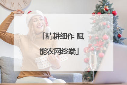 精耕细作 赋能农网终端