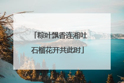 粽叶飘香连湘吐 石榴花开共此时