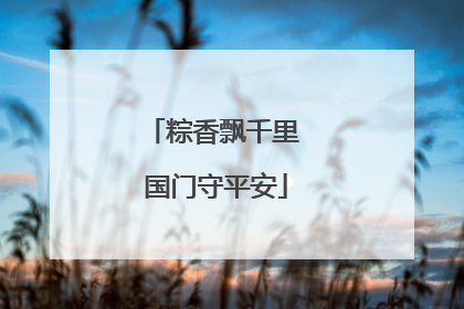 粽香飘千里 国门守平安