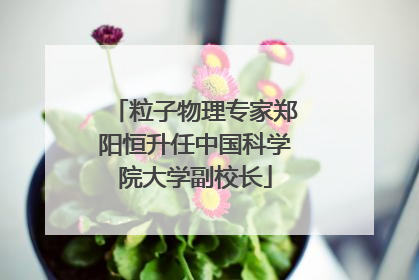 粒子物理专家郑阳恒升任中国科学院大学副校长