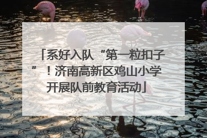 系好入队“第一粒扣子”！济南高新区鸡山小学开展队前教育活动