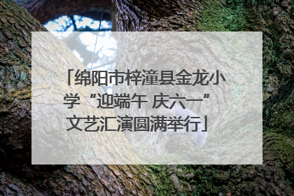 绵阳市梓潼县金龙小学“迎端午 庆六一”文艺汇演圆满举行