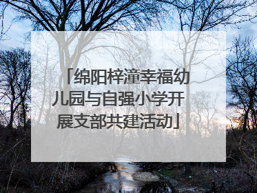 绵阳梓潼幸福幼儿园与自强小学开展支部共建活动