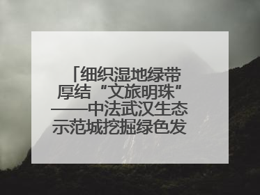 细织湿地绿带 厚结“文旅明珠”——中法武汉生态示范城挖掘绿色发展新动能
