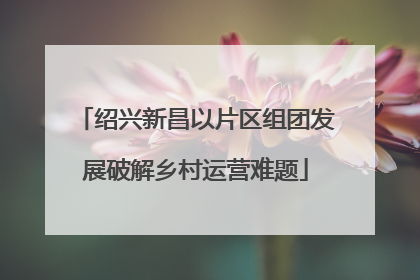 绍兴新昌以片区组团发展破解乡村运营难题